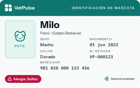 Frente de la tarjeta de Milo: especie, raza, microchip, número de ficha y la alerta de alergia a sulfas.