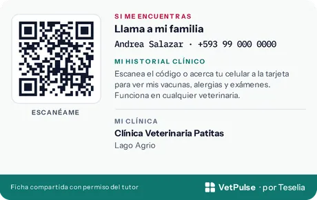 Reverso de la tarjeta: código QR, a quién llamar si la mascota se pierde y los datos de su clínica.